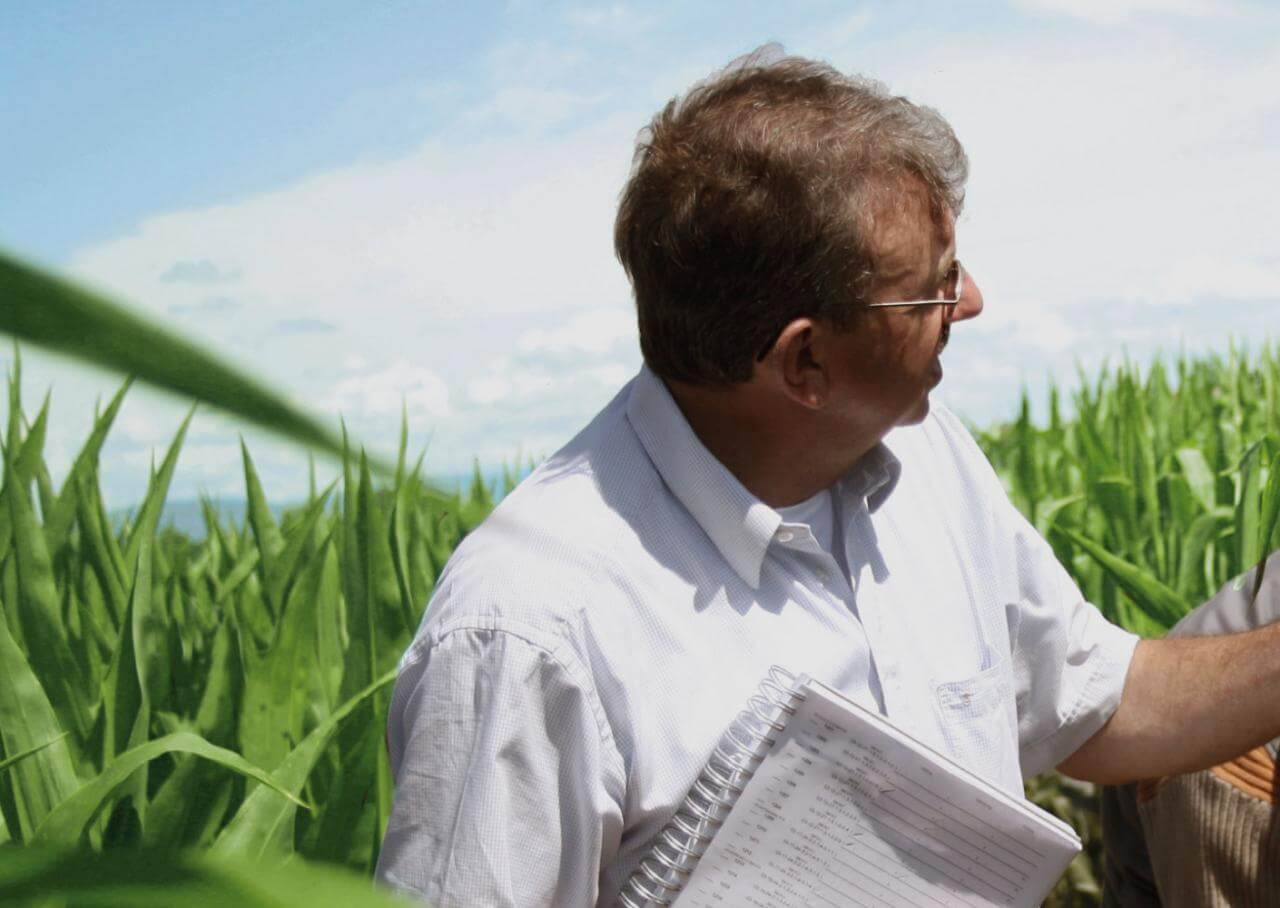 Jobs / praktyka farmsaat