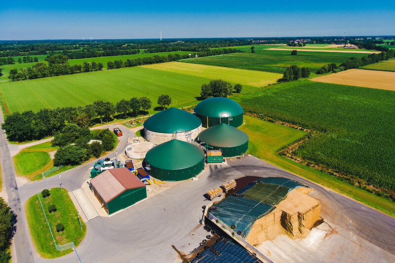 Wissenswertes zum Maisanbau