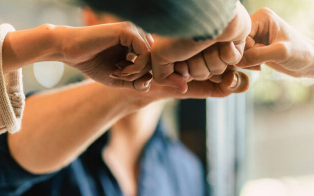 Rodzina farmsaat się powiększa