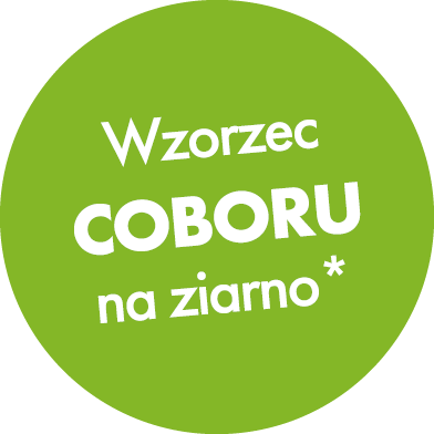 Siegel "Deutschlands meist angebaute Maissorte 2023"